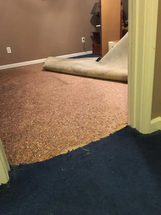 Carpet pad removal revealing water damage during Drying & Dehumidification in Royse City