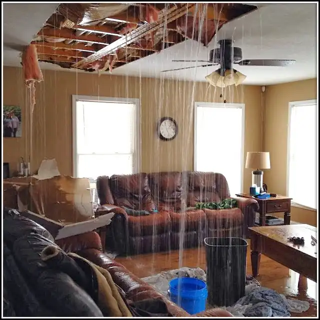 Water Damage Restoration services in Royse City, TX