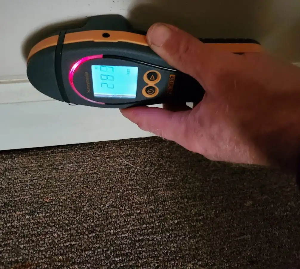 Moisture detection at baseboard during Sewage Cleanup & Sanitation in Royse City